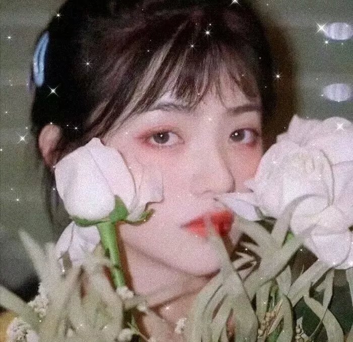 恐怖阴谋